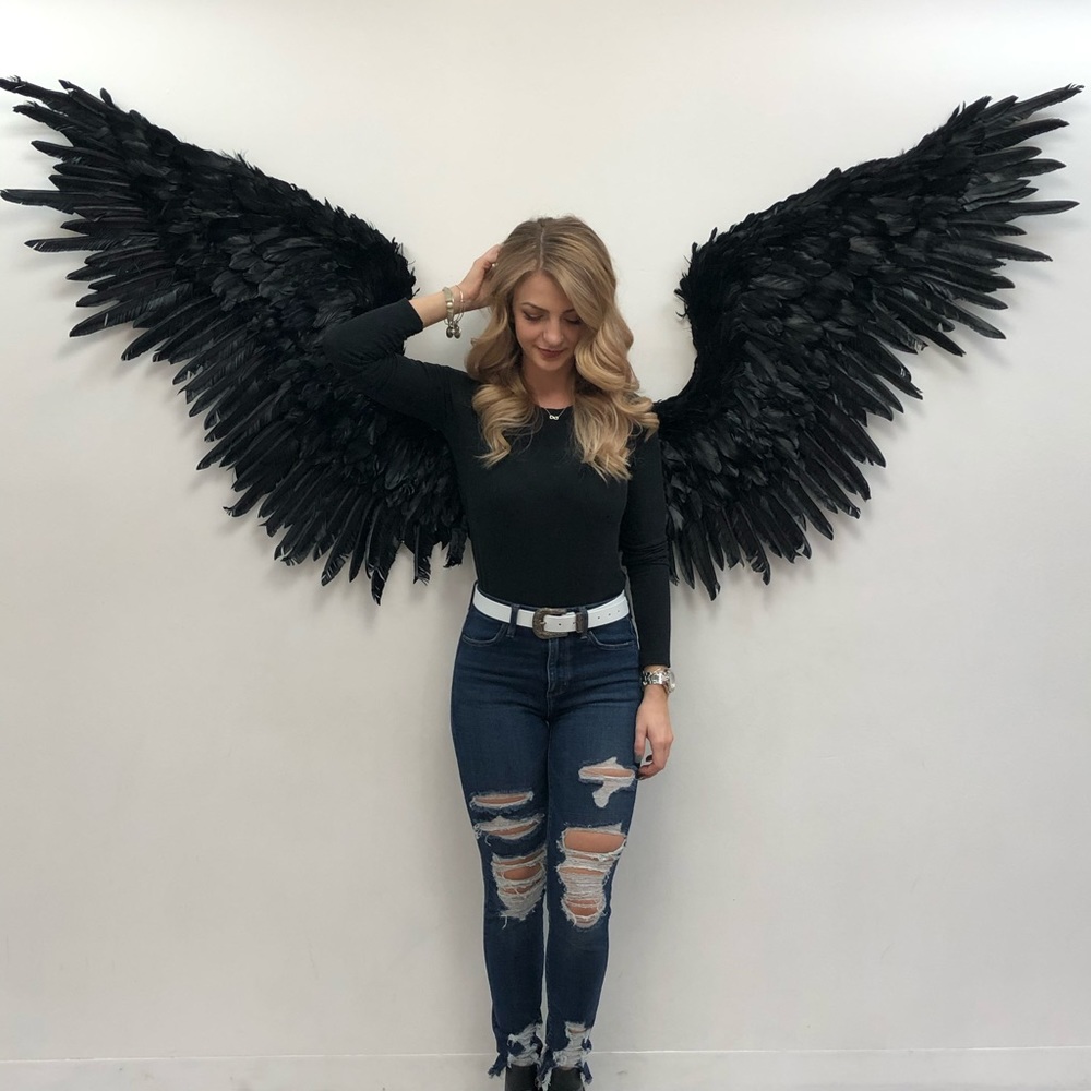 Meet your Posher, Harmony 🦋